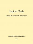 Gesang der Geister über den Wassern 