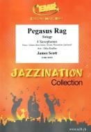 Pegasus Rag Standard