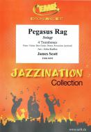 Pegasus Rag Standard