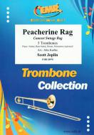 Peacherine Rag Standard