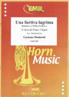 Una furtiva lagrima Download