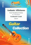 Andante Affettuoso Download