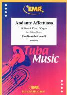 Andante Affettuoso Download