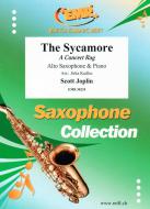The Sycamore Download