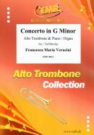 Concerto in G Minor Download