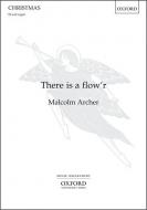 There is a flow'r 