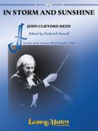 In Storm And Sunshine 