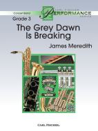 The Grey Dawn is Breaking 