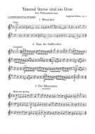 Tausend Sterne sind ein Dom op. 8 