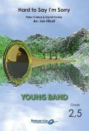 Hard to Say I'm Sorry 