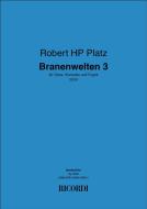 Branenwelten 3 