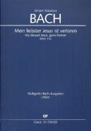 Mein liebster Jesus ist verloren BWV 154 Standard