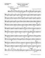 Messe solennelle - Ste Cécile 