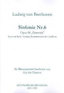 Sinfonie Nr.6 op. 68 (Auszüge) 