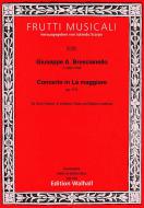 Konzert a-Moll op. 1,11 