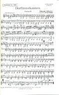 Dorfmusikanten + Hexenpolka 
