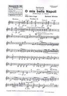 O mia bella Napoli 