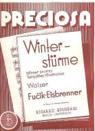 Winterstürme 