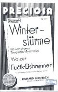 Winterstürme 
