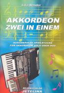 Akkordeon Zwei in Einem 