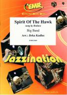 Spirit Of The Hawk Standard