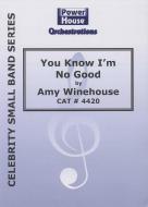 You Know I'm No Good 