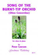 Song Of The Burnt-Tip Orchid 