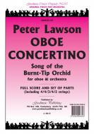 Oboe Concertino 