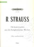 Orchesterstudien 