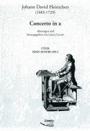 Concerto in a 