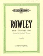 Klaviertrio über irische Volkslieder op. 46c 