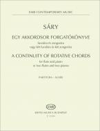 A Continuity of rotative chords 