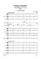 Wendland Sinfonietta op. 177 