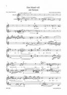 Schwarze Federn - zwei Lieder 