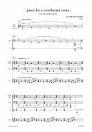 piece for a reverberant room 