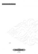 Concertino für Flöte und Klavier 