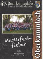 Musikfestfieber 