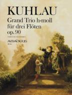 Grand Trio in h-moll op. 90 
