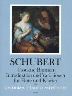 Trockne Blumen op. 160 (D 803) 