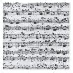 Servietten Notenblatt (12 Stück) 