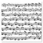 Brillenputztuch Notenblatt weiß (5 Stück) 