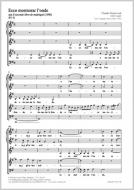 Ecco Mormorar l'onda Standard