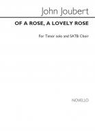 Of A Rose, A Lovely Rose 