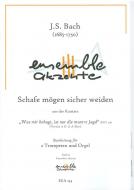 Schafe mögen sicher weiden Standard