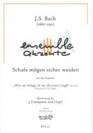 Schafe mögen sicher weiden Standard