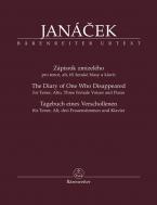 Tagebuch eines Verschollenen 