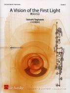 A Vision of the First Light 