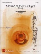 A Vision of the First Light 