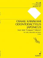 Odontodactylus japonicus 