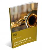 Sommernacht im Burgenland 